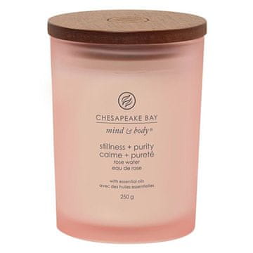 Svíčka Chesapeake Bay Candle střední, Stillness & Purity, Stabilita a čistota, mech a moře, 250 g