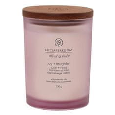 Svíčka Chesapeake Bay Candle střední, Joy & Laughter, Radost a smích, brusinky a švestky, 250 g