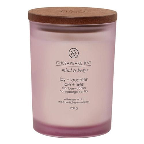 Svíčka Chesapeake Bay Candle střední, Joy & Laughter, Radost a smích, brusinky a švestky, 250 g