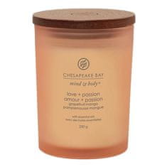 Svíčka Chesapeake Bay Candle střední, Love & Passion, Láska a vášeň, grapefruit a mango, 250 g