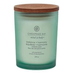 Svíčka Chesapeake Bay Candle střední, Balance & Harmony, Rovnováha a harmonie, vodní hruška, 250 g