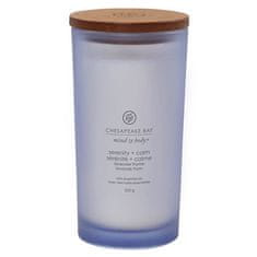 Svíčka Chesapeake Bay Candle velká, Serenity & Calm, Ticho a klid, levandule a tymián, 355 g