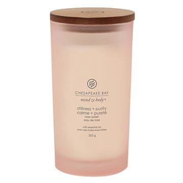 Svíčka Chesapeake Bay Candle velká, Stillness & Purity, Stabilita a čistota, mech a moře, 355 g