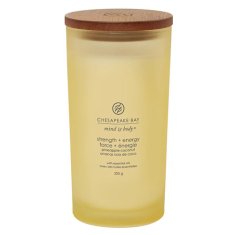 Svíčka Chesapeake Bay Candle velká, Strength & Energy, Síla a energie, ananas a kokos, 355 g