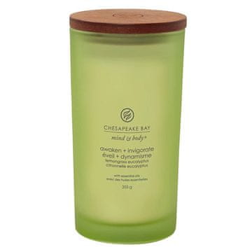 Svíčka Chesapeake Bay Candle velká, Awaken & Invigorate, Probuzení a osvěžení, citronová tráva a eukalyptus, 355 g