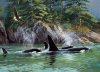 Puzzle Orcas 1000 kosov
