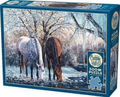 Cobble Hill Puzzle Lepota zime 500 kosov