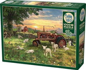 Cobble Hill Puzzle Polje ob sončnem vzhodu 1000 kosov