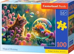 Castorland Puzzle Magic morning 100 kosov