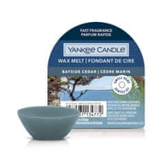 Yankee Candle Dišeči vosek za aromaterapijo Bayside Cedar 22g