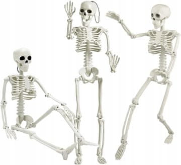 Korbi Dekorativni okostnjak Halloween 40cm - Korbi
