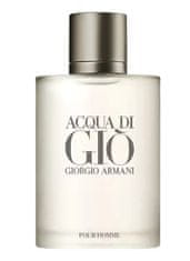 Giorgio Armani Acqua Di Gio Pour Homme - EDT 100 ml