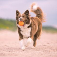 EXPLORER DOG AirBall s pikami 8 cm