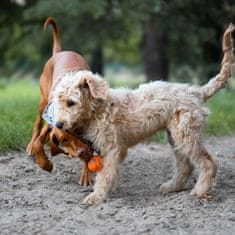 EXPLORER DOG AirBall na vrvi Oranžna 6,5 cm