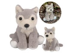 Charlie Bears Charlie Bears Volčja maskota iz serije Cuddle Cubs, majhen pliš, idealen za dojenčke, 13 centimetrov 