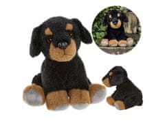 Charlie Bears Charlie Bears Pasja maskota iz serije Cuddle Cubs, majhen pliš, idealen za dojenčke, 13 centimetrov 
