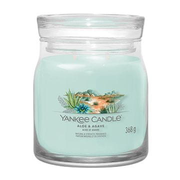 Yankee Candle Svíčka Signature střední, Aloe & Agave, Aloe a agáve, 368 g