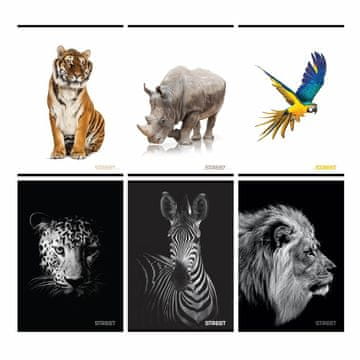 VSE ZA ŠOLO Zvezek a5 mp mali karo safari 54l