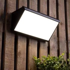 LUMILED Zunanja vrtna svetilka LED 20W CCT stenska svetilka MAVIS IP44
