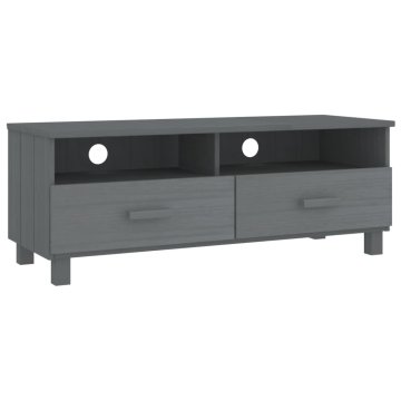 Vidaxl TV omarica 106x40x40 cm trdna borovina
