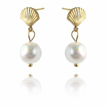 Flamenco Mystique Uhanje iz kirurškega jekla, pozlačeno s 14 karati, elegantno in stilno, dimenzije 8,5 x 1 cm