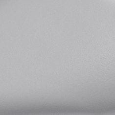 Vidaxl Folija za avto 2 kosa mat srebrna 100x150 cm + 50x150 cm