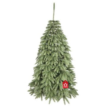 Božično drevo Kavkaska smreka 2D 150 cm