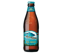 Kona Pivo Golden Ale Big Wave STK 0,355 l
