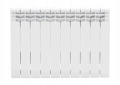 shumee Bel aluminijasti radiator 10 elementov 57x80 cm Best