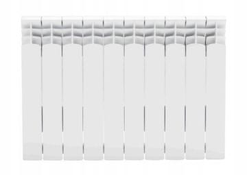 shumee Bel aluminijasti radiator 10 elementov 57x80 cm Best