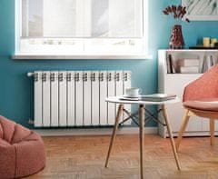 shumee Bel aluminijasti radiator 10 elementov 57x80 cm Best