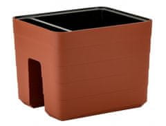 Plastia Škatla BERBERIS za samopreskrbo na ograji + kati 30x26x24h