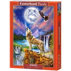 WOWO Puzzle 1500 kosov Night of the Wolf 68 x 47 cm CASTORLAND
