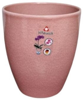 Embalaža za orhideje 620 Rosea sijaj 13 cm / v. 15 cm - 6 kosov
