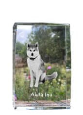 Artdog Akita, Akita Inu - kristal s fotografijo psa, fotografija v steklu, sodobna fotografska razstava Art-Dog