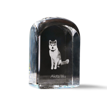 Artdog Akita, Akita Inu - kristalna kocka s fotografijo, fotografija psa v kristalu, kubični obtežilnik za papir Art-Dog
