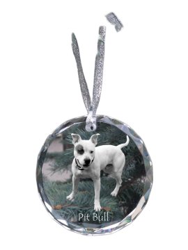 Artdog Ameriški pit bull terier, Pit Bull, Ameriški pit bull terier, Pitbull, APBT - kristalna kroglica s fotografijo, fotografije psa v kristalu, personaliziran obesek za božično drevesce Art-Dog