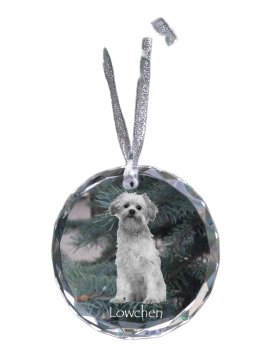 Artdog Levji pes, Lowchen - kristalna kroglica s fotografijo, fotografije psa v kristalu, personaliziran obesek za božično drevo Art-Dog