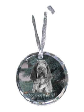 Artdog Italijanski oštrodlaki ptičar, Spinone italiano - kristalna kroglica s fotografijo, fotografije psa v kristalu, personaliziran obesek za božično drevesce Art-Dog