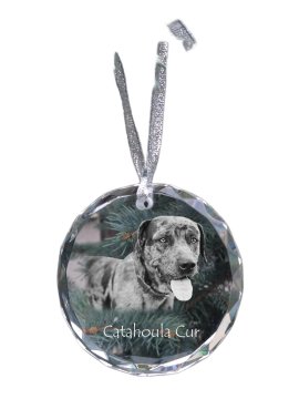 Artdog Catahoula Leopard Dog - kristalna kroglica s fotografijo, fotografije psa v kristalu, personaliziran obesek za božično drevo Art-Dog