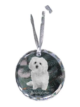 Artdog Bolognese, Bolognese - kristalna kroglica s fotografijo, fotografije psa v kristalu, personaliziran obesek za božično drevo Art-Dog