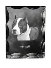 Artdog Ameriški Staffordshire terier, Amstaff, Amstaf - kristal s fotografijo psa, stekleni kipec s fotografijo, unikaten okvir s fotografijo Art-Dog