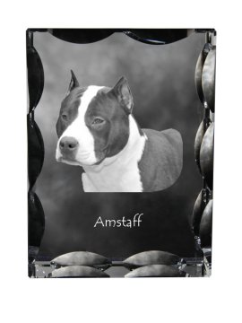 Artdog Ameriški Staffordshire terier, Amstaff, Amstaf - kristal s fotografijo psa, stekleni kipec s fotografijo, unikaten okvir s fotografijo Art-Dog