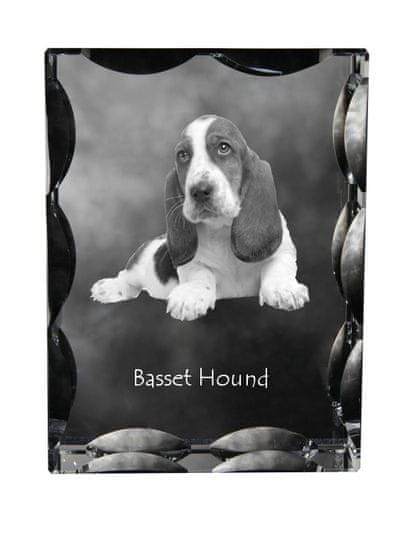 Artdog Basset Hound - kristal s fotografijo psa, stekleni kipec s fotografijo, unikaten okvir s fotografijo Art-Dog