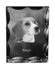 Artdog Beagle - kristal s fotografijo psa, stekleni kipec s fotografijo, unikaten okvir s fotografijo Art-Dog
