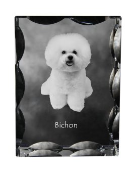 Artdog Bichon Frise, Tenerife Dog - kristal s fotografijo psa, stekleni kipec s fotografijo, unikaten okvir s fotografijo Art-Dog