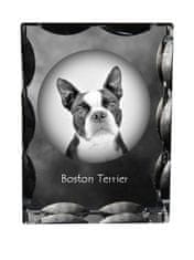Artdog Bostonski terier, Bostonski bulterier - kristal s fotografijo psa, stekleni kipec s fotografijo, unikaten okvir s fotografijo Art-Dog