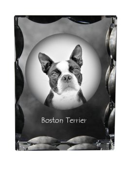 Artdog Bostonski terier, Bostonski bulterier - kristal s fotografijo psa, stekleni kipec s fotografijo, unikaten okvir s fotografijo Art-Dog