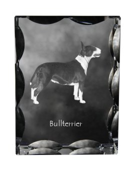 Artdog Bull terier, Bull Terrier - kristal s fotografijo psa, stekleni kipec s fotografijo, unikaten okvir s fotografijo Art-Dog