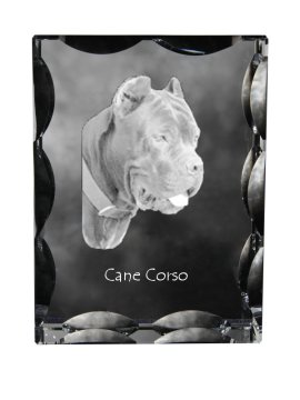 Artdog Cane Corso Italiano - kristal s fotografijo psa, stekleni kipec s fotografijo, unikaten okvir s fotografijo Art-Dog